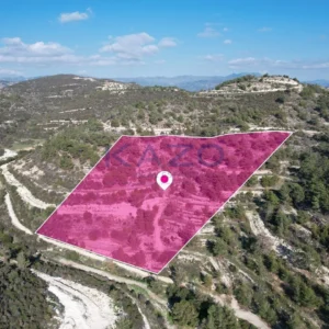 29,430m² Plot for Sale in Laneia, Limassol District