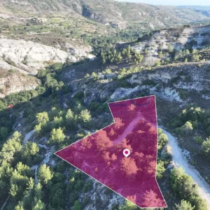 2,676m² Plot for Sale in Pera Pedi, Limassol District