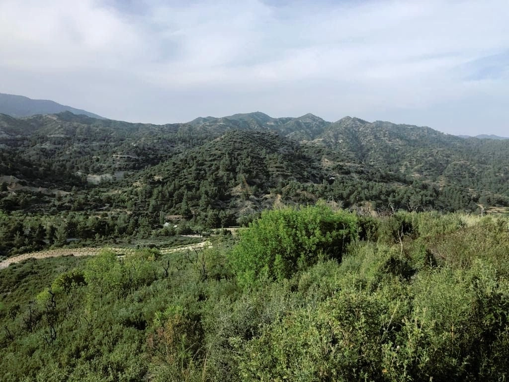 25,284m² Plot for Sale in Trimiklini, Limassol District