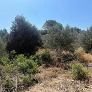 1,157m² Plot for Sale in Kouklia, Paphos District