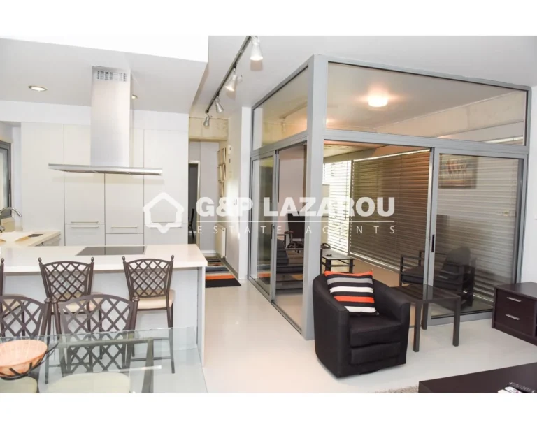 2 Bedroom Apartment for Rent in Nicosia District