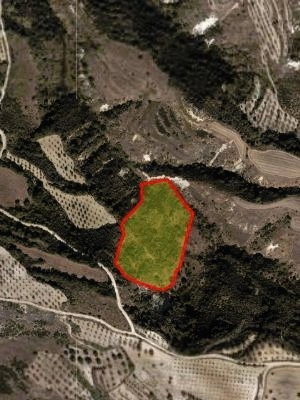 14,716m² Plot for Sale in Simou, Paphos District