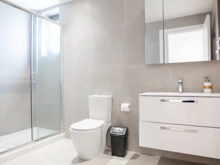 2 Bedroom Apartment for Rent in Limassol District