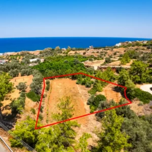 for Sale in Pomos, Paphos District