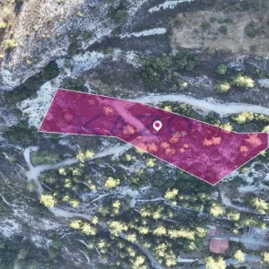 2,676m² Plot for Sale in Pera Pedi, Limassol District