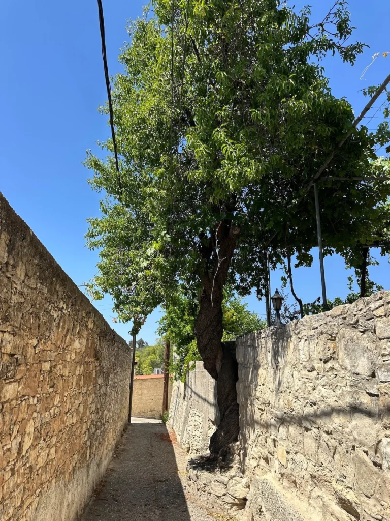 3 Bedroom House for Sale in Salamiou, Paphos District