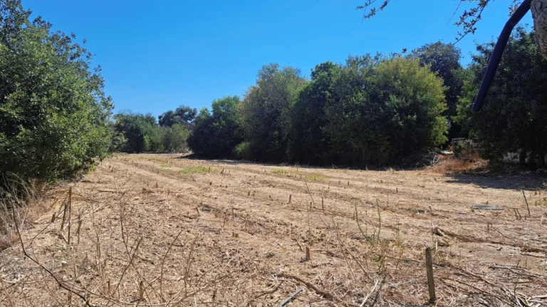 1,338m² Plot for Sale in Polemi, Paphos District