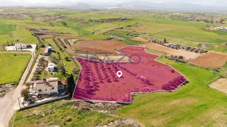 9,786m² Plot for Sale in Palaiometocho, Nicosia District