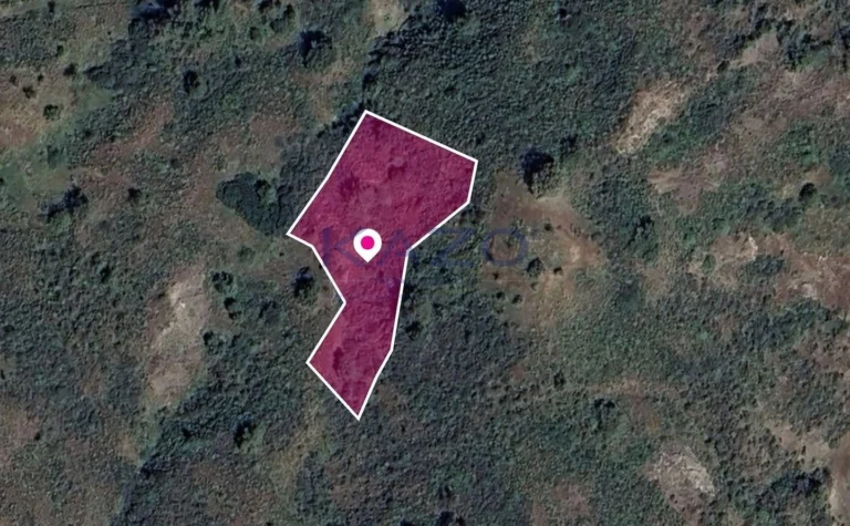 2,676m² Plot for Sale in Pigenia, Nicosia District