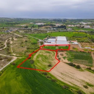 12,376m² Plot for Sale in Kalavasos, Larnaca District