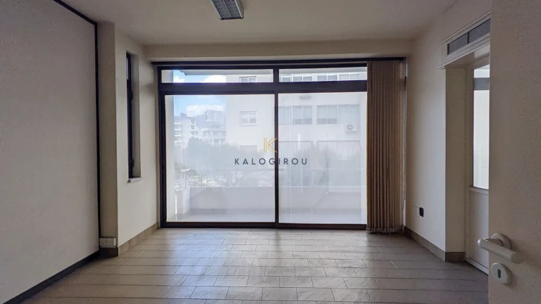 1135m² Commercial for Sale in Nicosia District