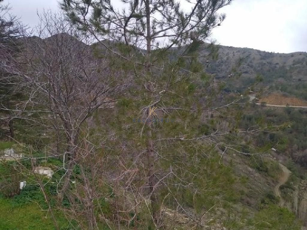 10,034m² Plot for Sale in Pedoulas, Nicosia District