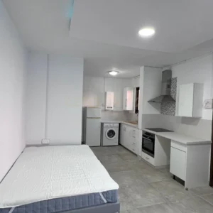 1 Bedroom Apartment for Rent in Limassol District