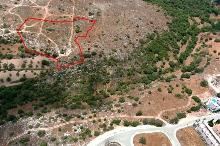 101,028m² Plot for Sale in Paphos – Agios Theodoros