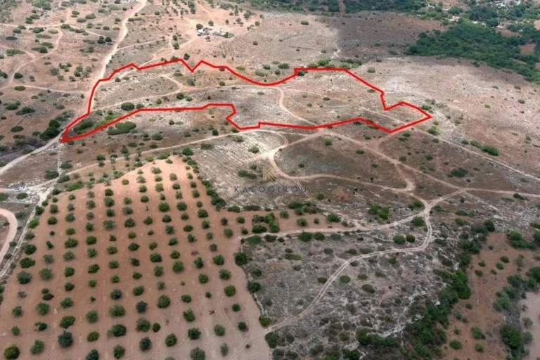 101,028m² Plot for Sale in Paphos – Agios Theodoros