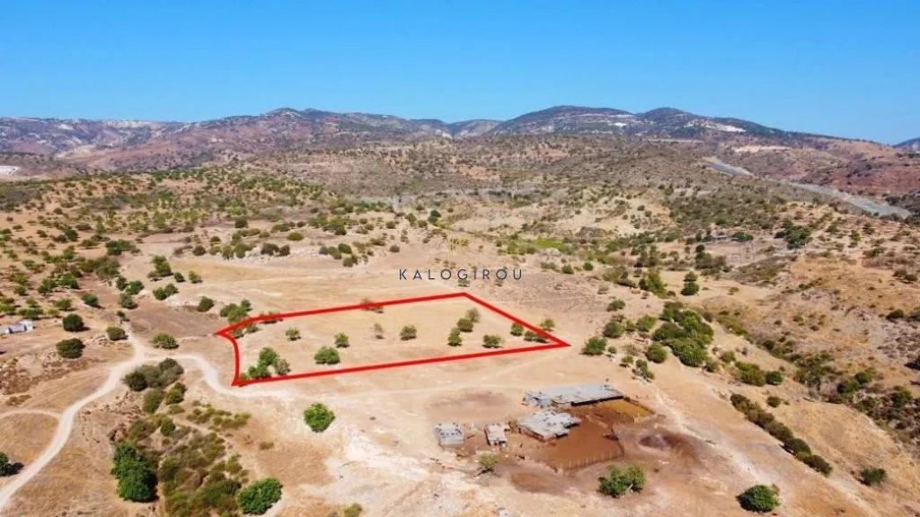 12,993m² Plot for Sale in Pegeia, Paphos District