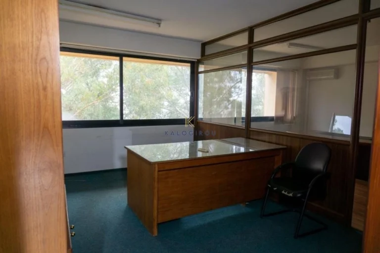 331m² Office for Sale in Nicosia District