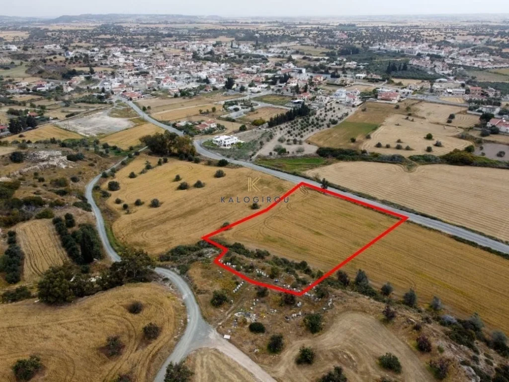 8,362m² Plot for Sale in Mazotos, Larnaca District