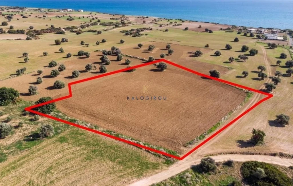 7,024m² Plot for Sale in Agios Theodoros, Larnaca District