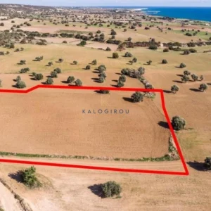 7,024m² Plot for Sale in Agios Theodoros, Larnaca District