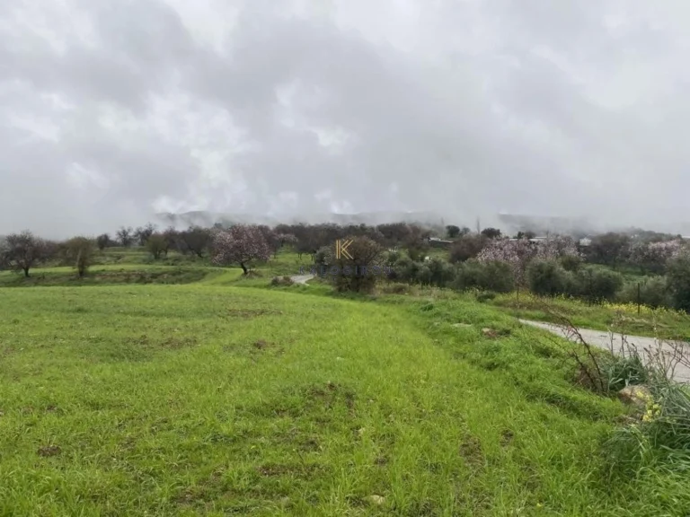 12,041m² Plot for Sale in Kelokedara, Paphos District