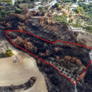 7,024m² Plot for Sale in Drymou, Paphos District