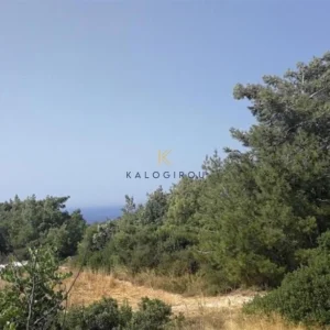 9,365m² Plot for Sale in Neo Chorio Pafou, Paphos District