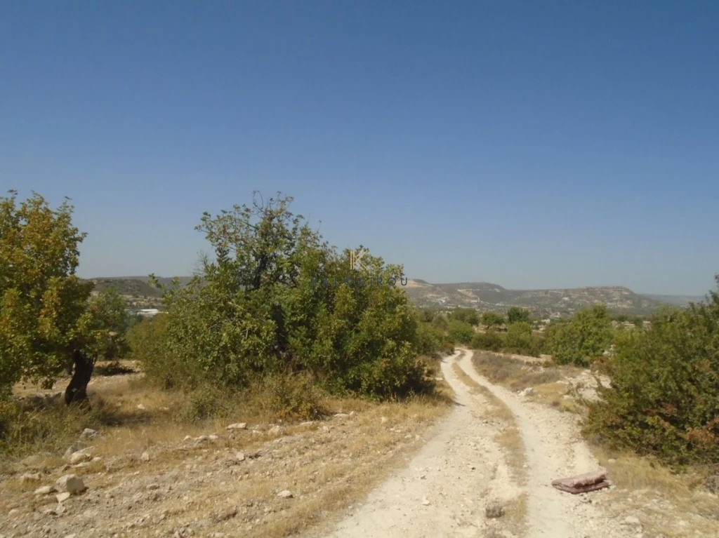 10,368m² Plot for Sale in Paramytha, Limassol District