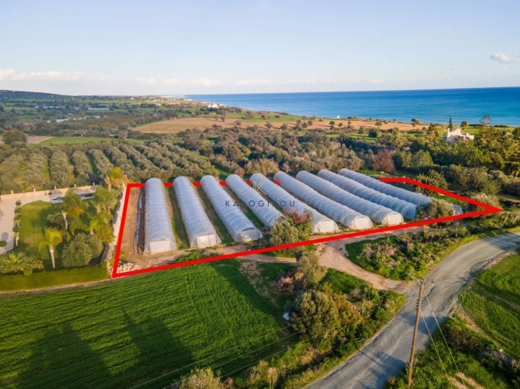 4,014m² Plot for Sale in Agios Theodoros, Larnaca District