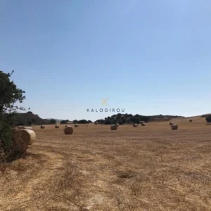 15,336m² Plot for Sale in Alaminos, Larnaca District