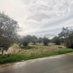 4,348m² Plot for Sale in Agia Varvara Lefkosias, Nicosia District