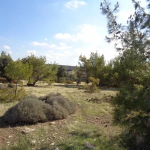 9,700m² Plot for Sale in Sotira Lemesou, Limassol District