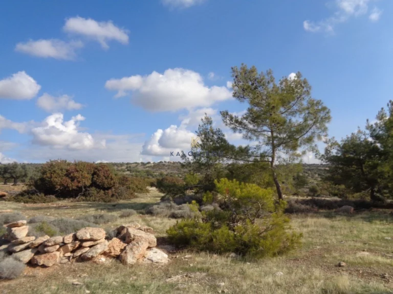 9,700m² Plot for Sale in Sotira Lemesou, Limassol District