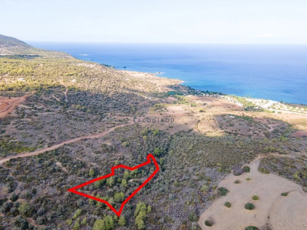 7,210m² Plot for Sale in Neo Chorio Pafou, Paphos District