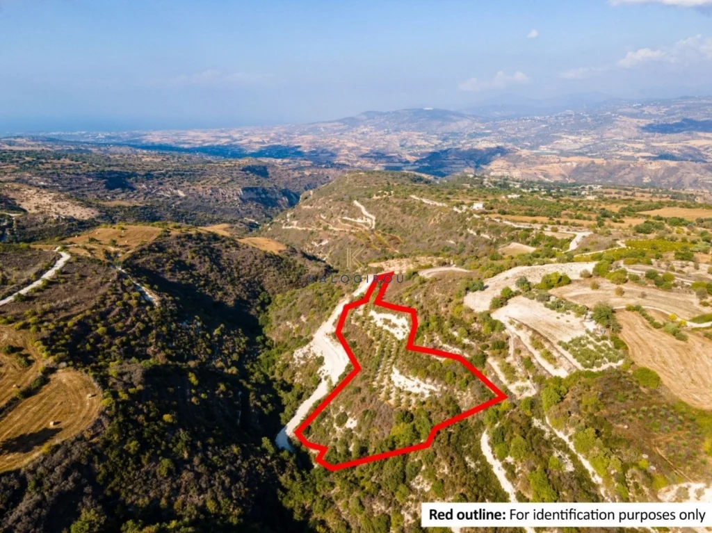 10,368m² Plot for Sale in Paphos District