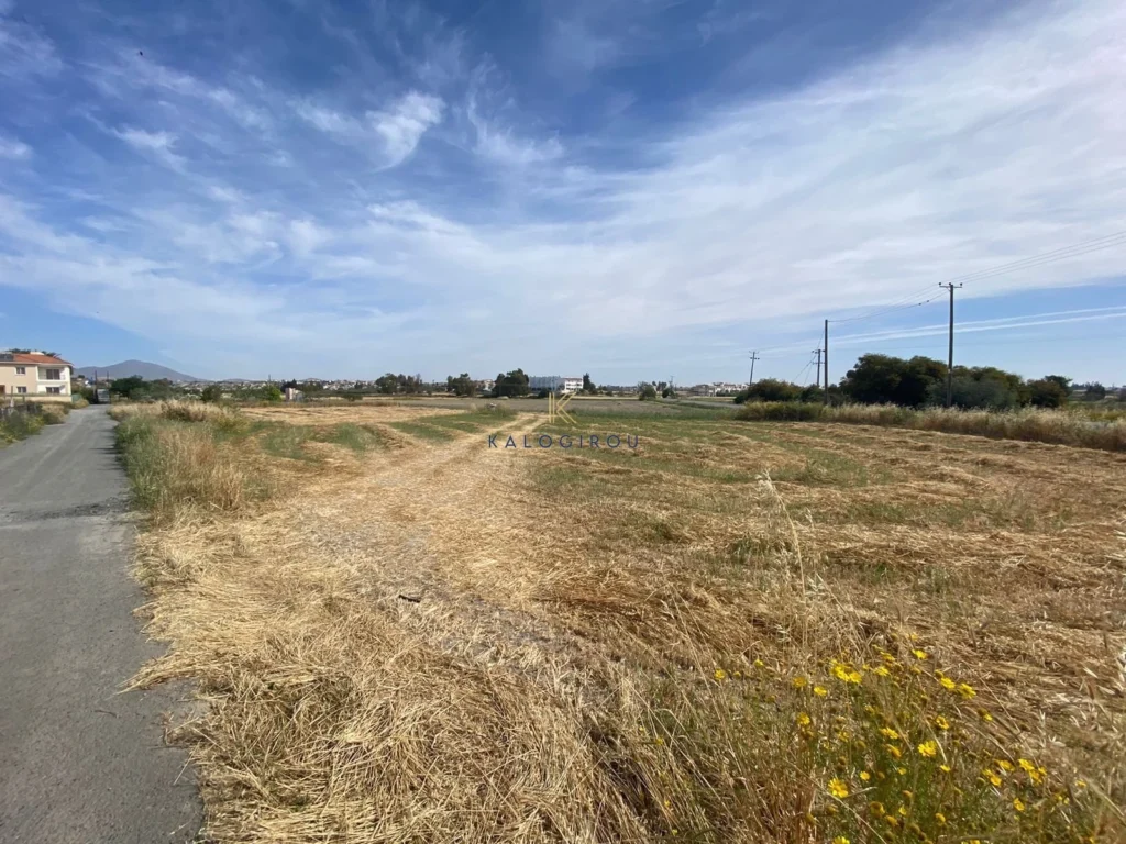 1,570m² Plot for Sale in Mazotos, Larnaca District