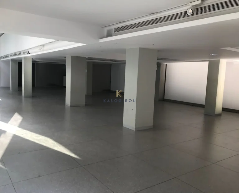 650m² Commercial for Rent in Larnaca District