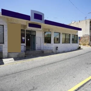 360m² Building for Sale in Geri, Nicosia District