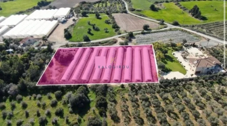 4,014m² Plot for Sale in Agios Theodoros, Larnaca District