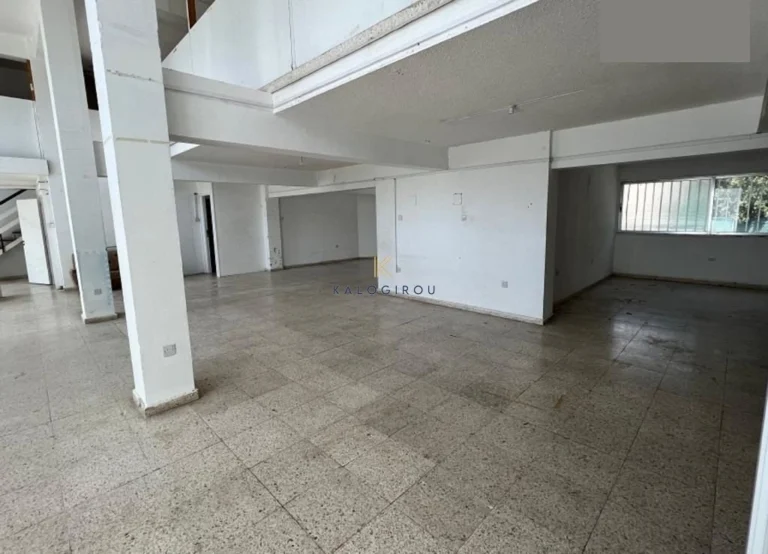 356m² Commercial for Sale in Larnaca District