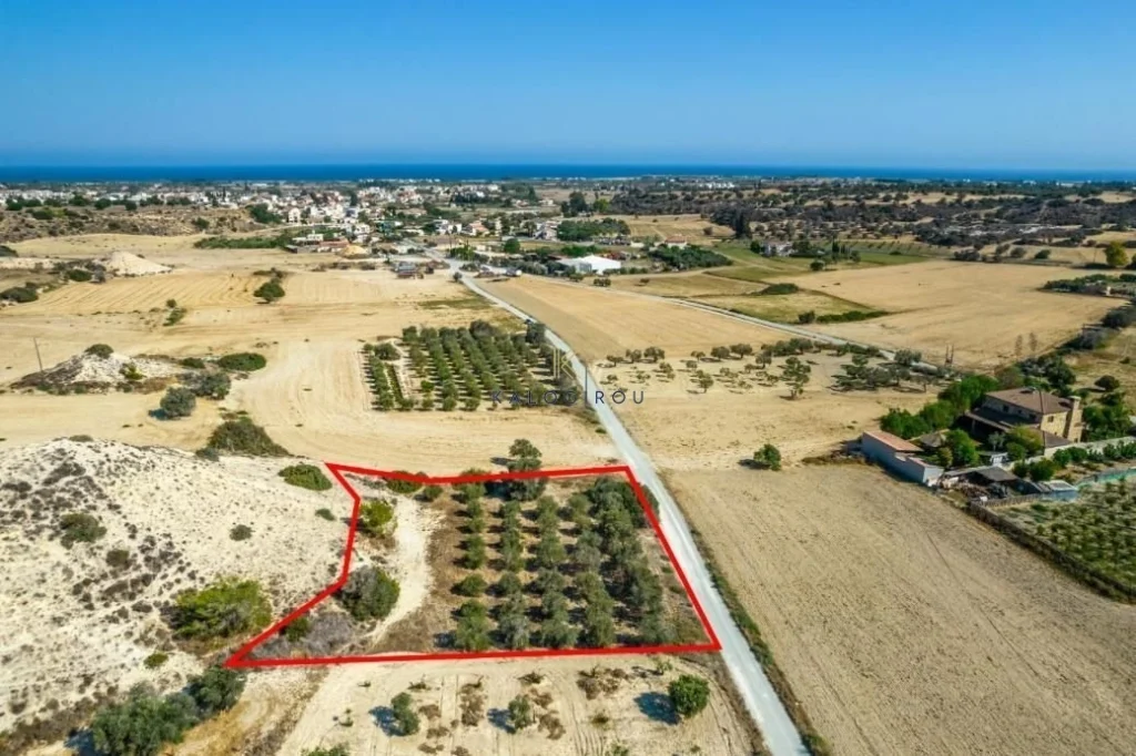 2,788m² Plot for Sale in Mazotos, Larnaca District