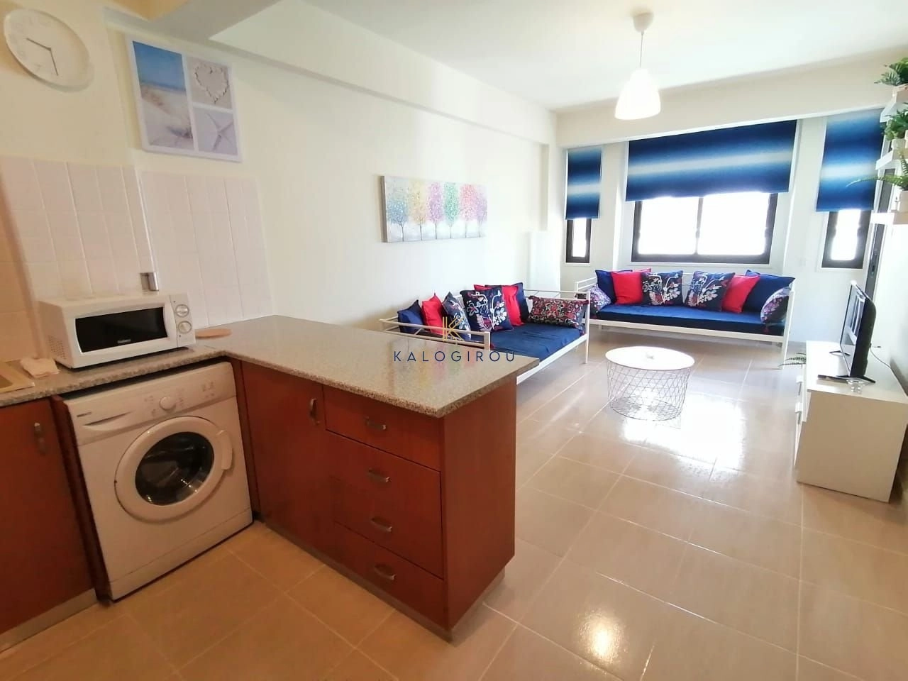 1 Bedroom Apartment for Rent in Larnaca District