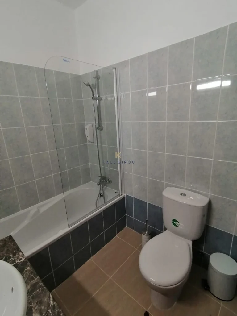1 Bedroom Apartment for Rent in Larnaca District