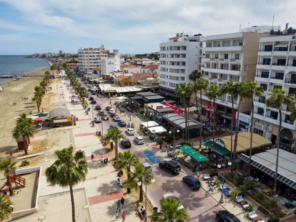 1 Bedroom Apartment for Rent in Larnaca District