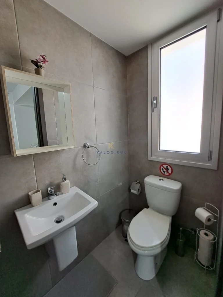 2 Bedroom Apartment for Rent in Larnaca District