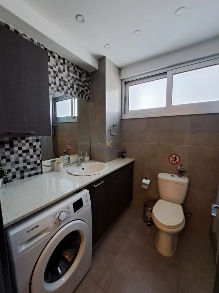 2 Bedroom Apartment for Rent in Larnaca District