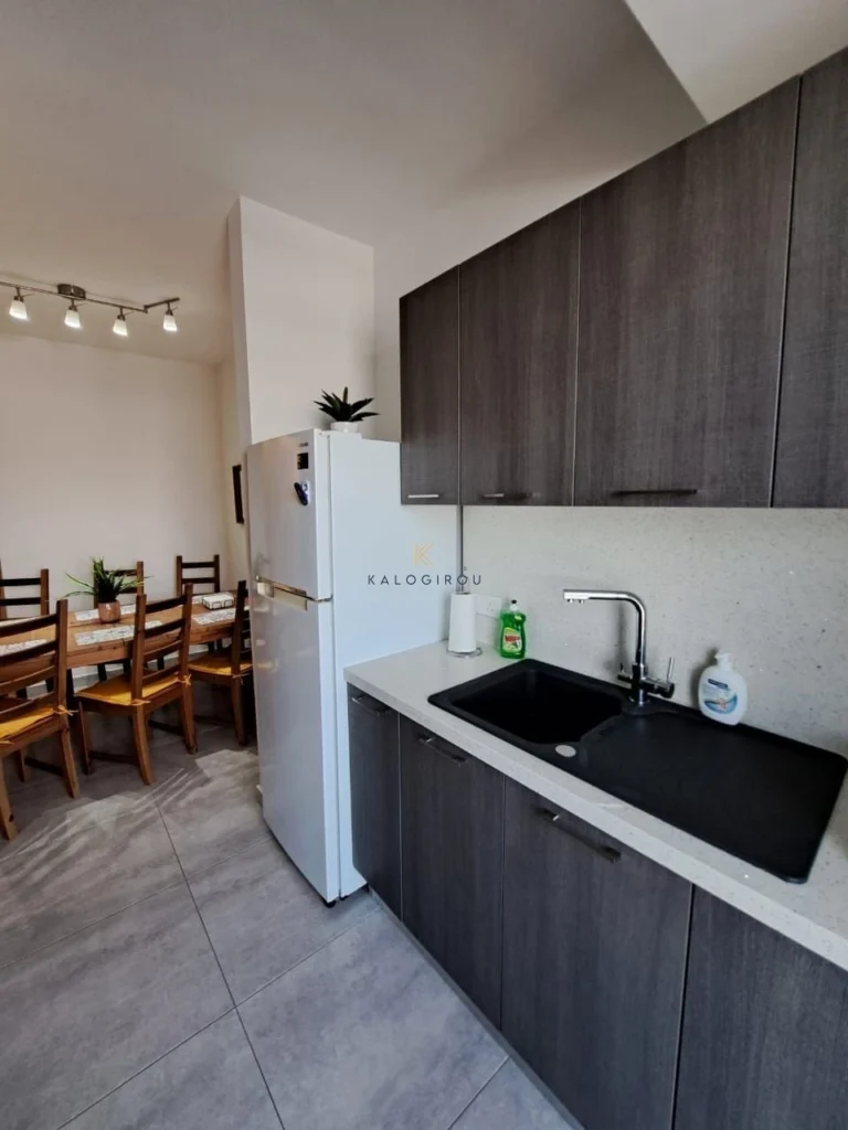 2 Bedroom Apartment for Rent in Larnaca District