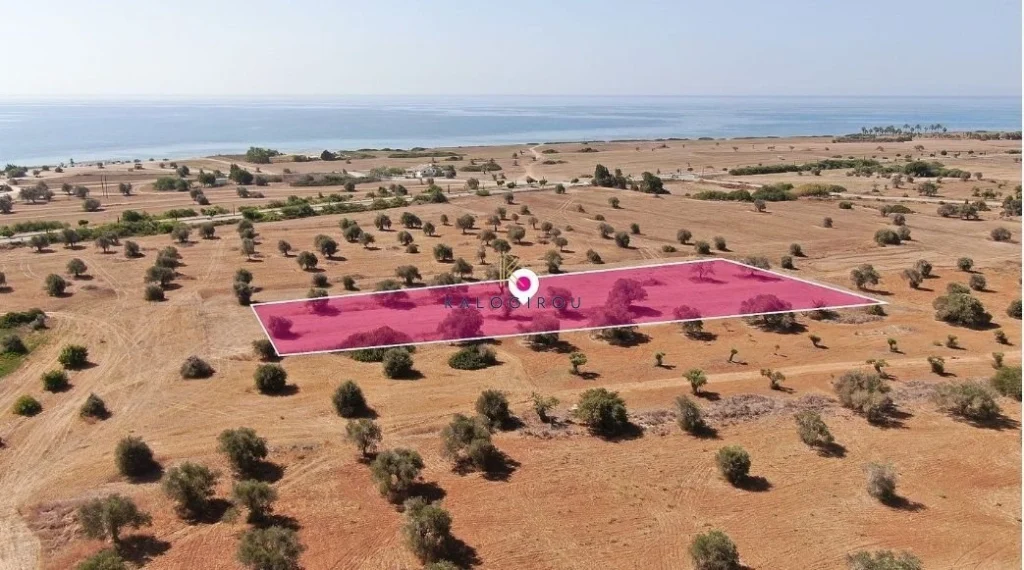 3,512m² Plot for Sale in Mazotos, Larnaca District