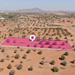 3,512m² Plot for Sale in Mazotos, Larnaca District