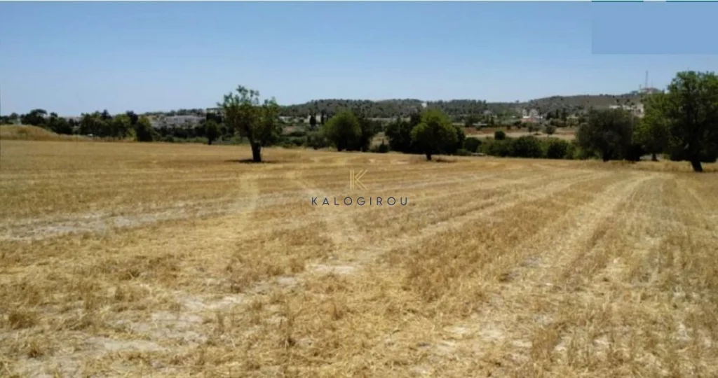 27,394m² Plot for Sale in Alethriko, Larnaca District